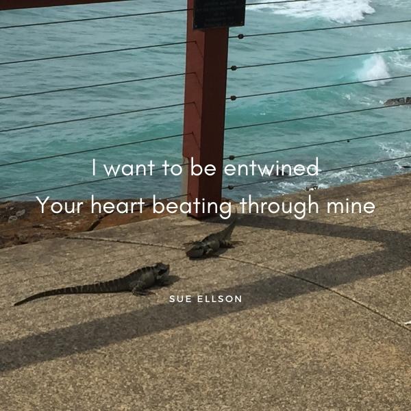 Entwined Poem By Sue Ellson Coolangatta Queensland