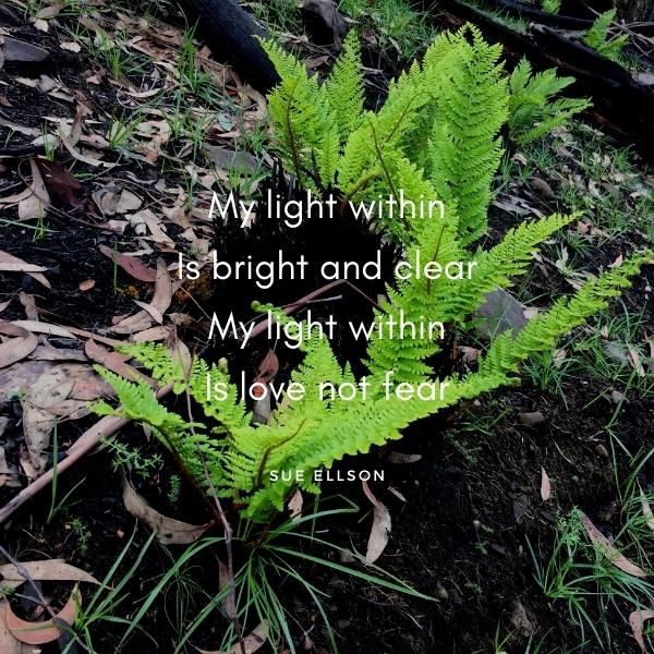Shock Poem By Sue Ellson Tree Fern Near Mount Hotham Victoria Australia