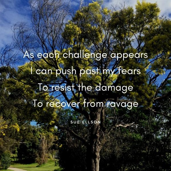 Resilience Poem By Sue Ellson