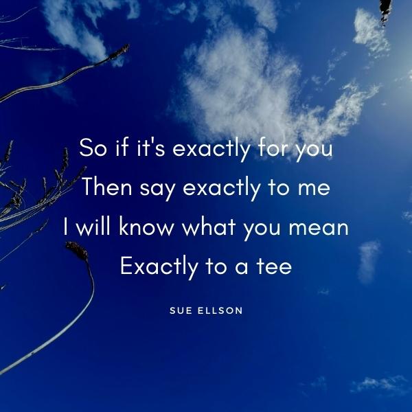 Exactly Poem By Sue Ellson