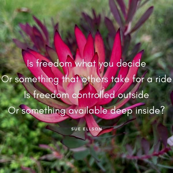 Freedom Poem By Sue Ellson