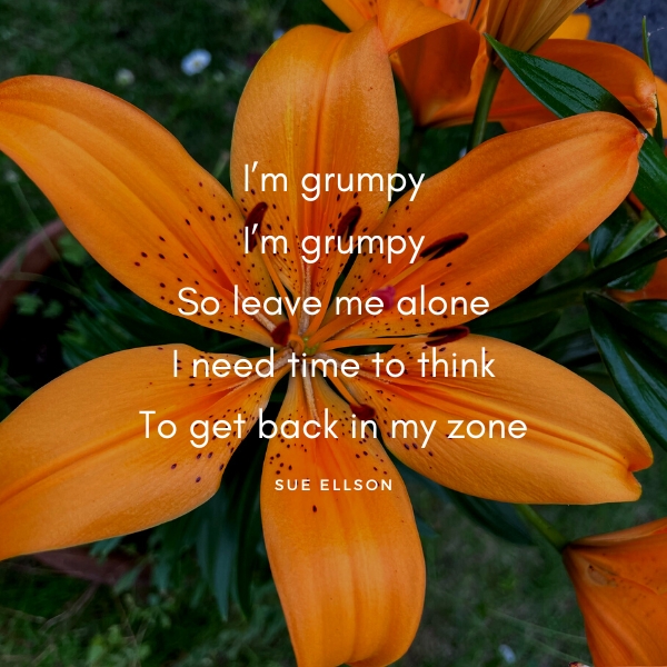 Grumpy Poem by Sue Ellson Orange Lily Canterbury, Melbourne, Victoria, Australia