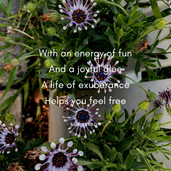 Exuberance Poem by Sue Ellson Flowers on Croydon Road Surrey Hills Melbourne Victoria Australia on 20230903