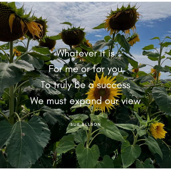 Definition of Success Poem By Sue Ellson - Sunflowers at Seaford Wetlands Community Garden 3 January 2024