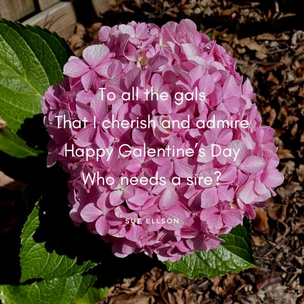 Happy Galentine’s Day Poem By Sue Ellson