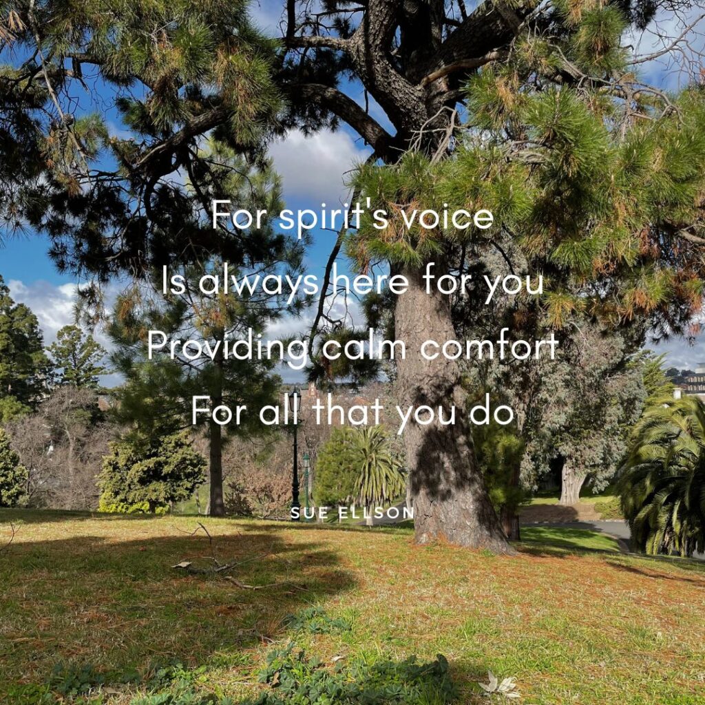 Spirit's Voice Poem By Sue Ellson - Rosalind Park Bendigo Australia