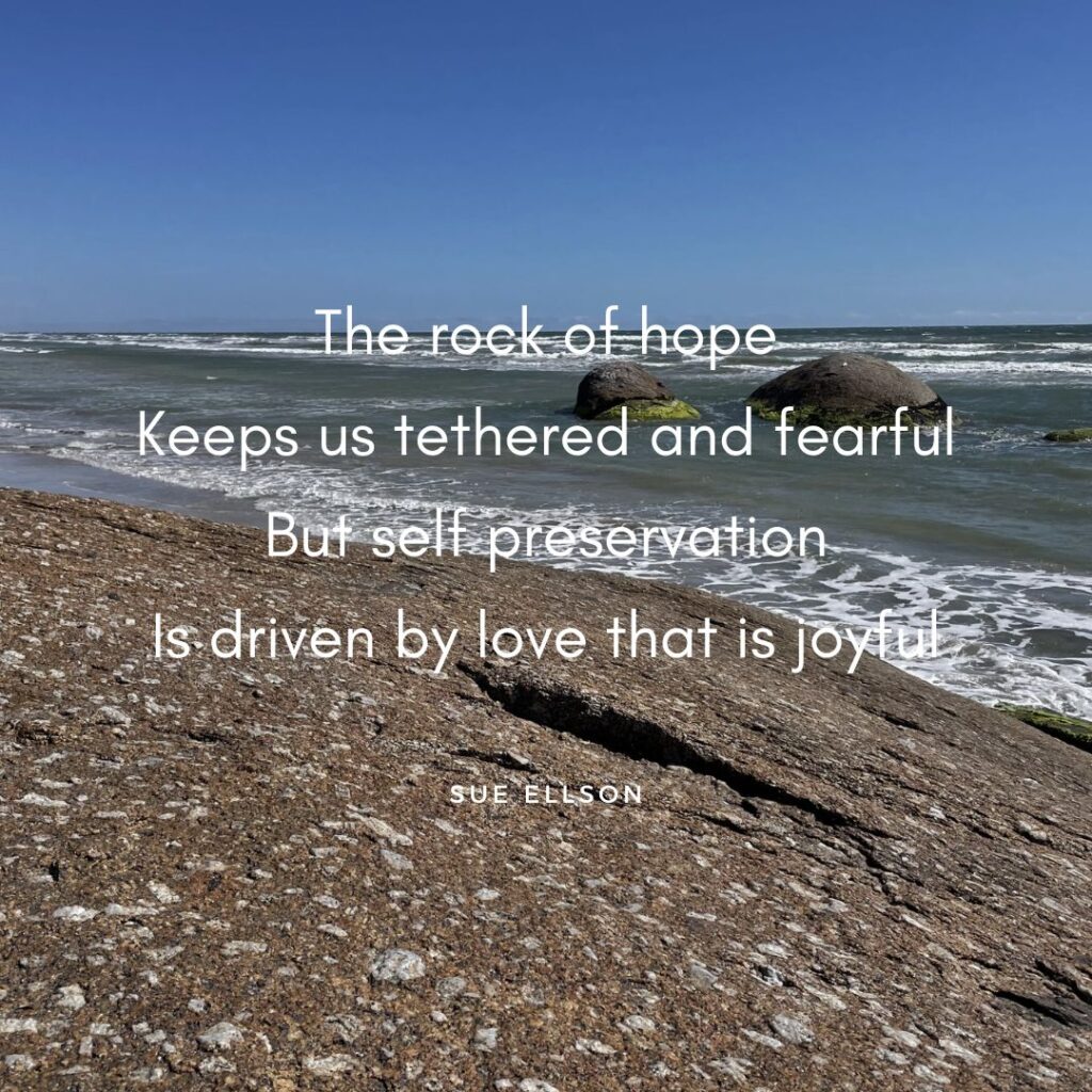 Self Preservation Poem By Sue Ellson