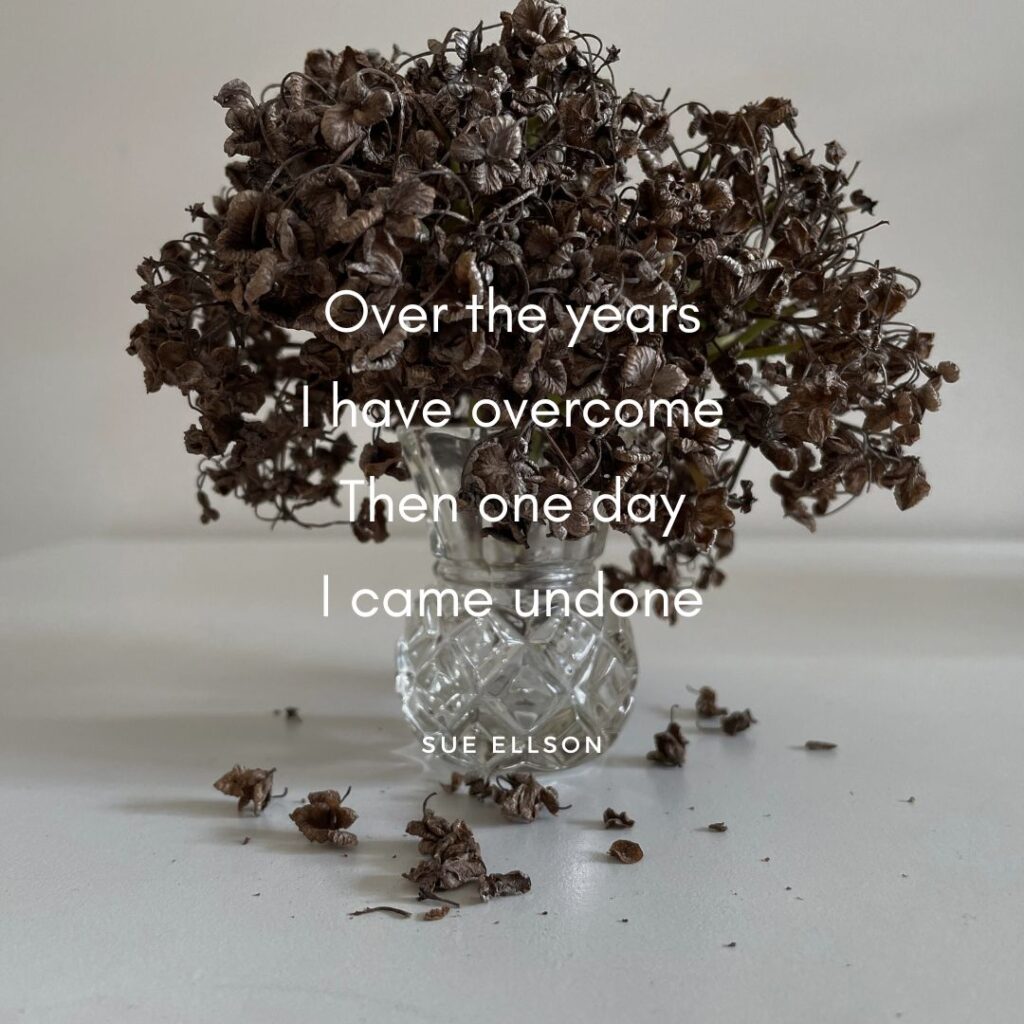 Accumulated Grief Poem By Sue Ellson
