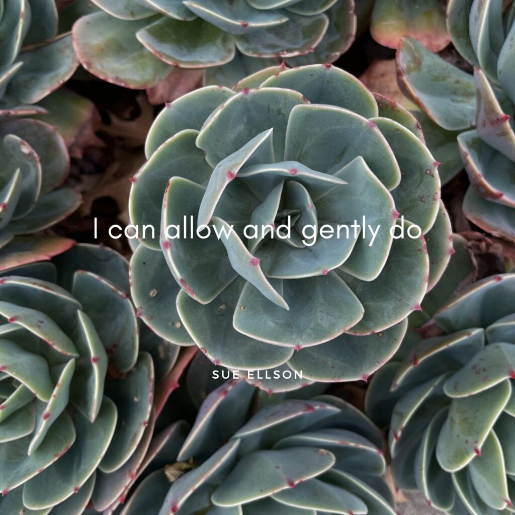 Affirmation - I can allow and gently do By Sue Ellson