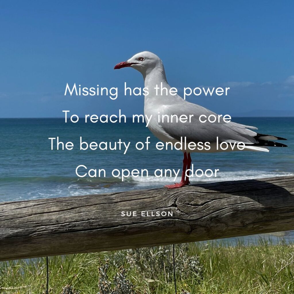 Missing Poem By Sue Ellson