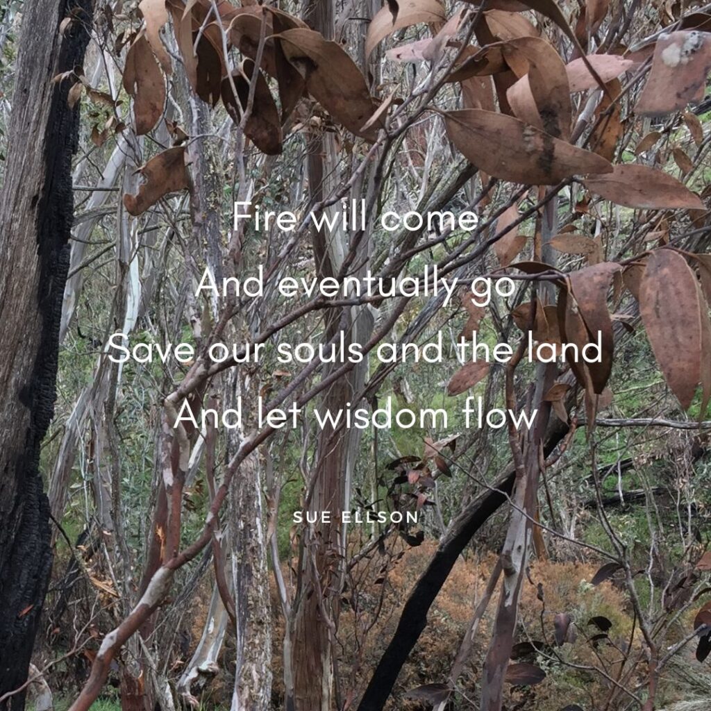 Bushfires Poem By Sue Ellson