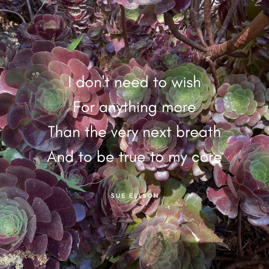 Wishing Poem By Sue Ellson