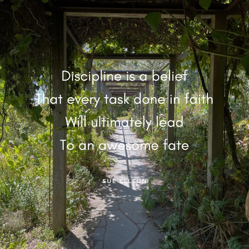 Discipline Poem By Sue Ellson