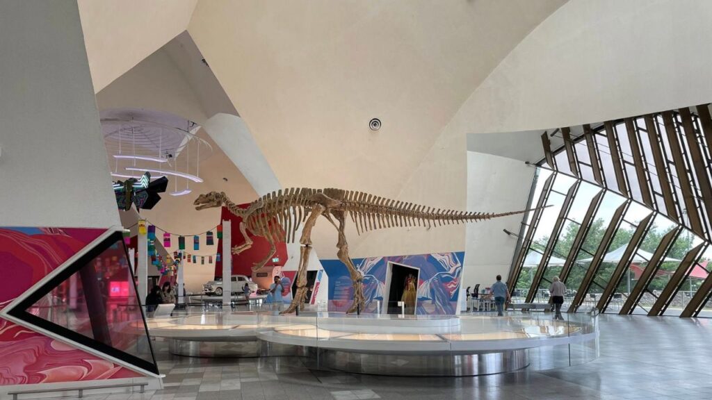 LinkedIn Update Canberra with Sue Ellson at National Museum of Australia Cafe