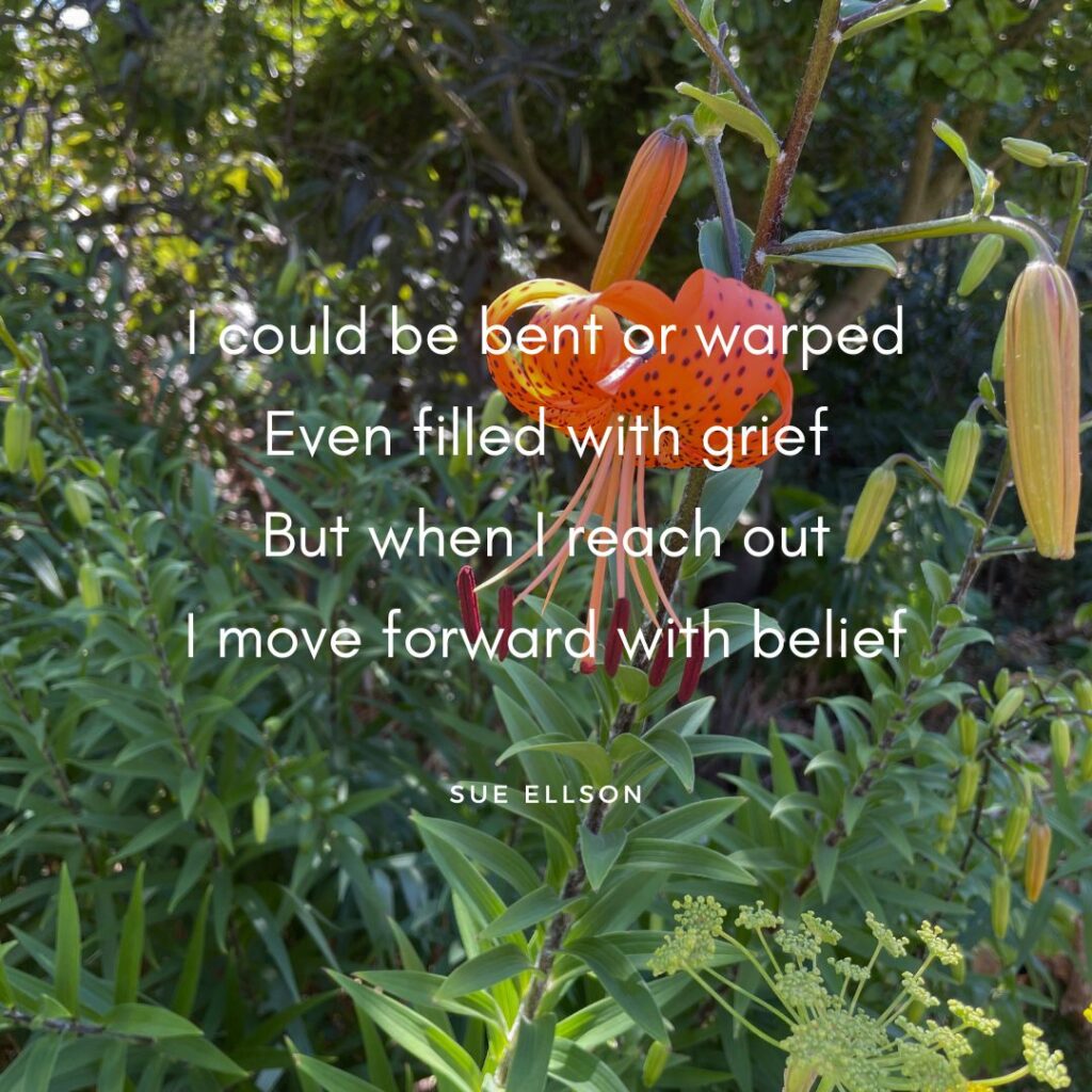 Psychological Health Poem By Sue Ellson