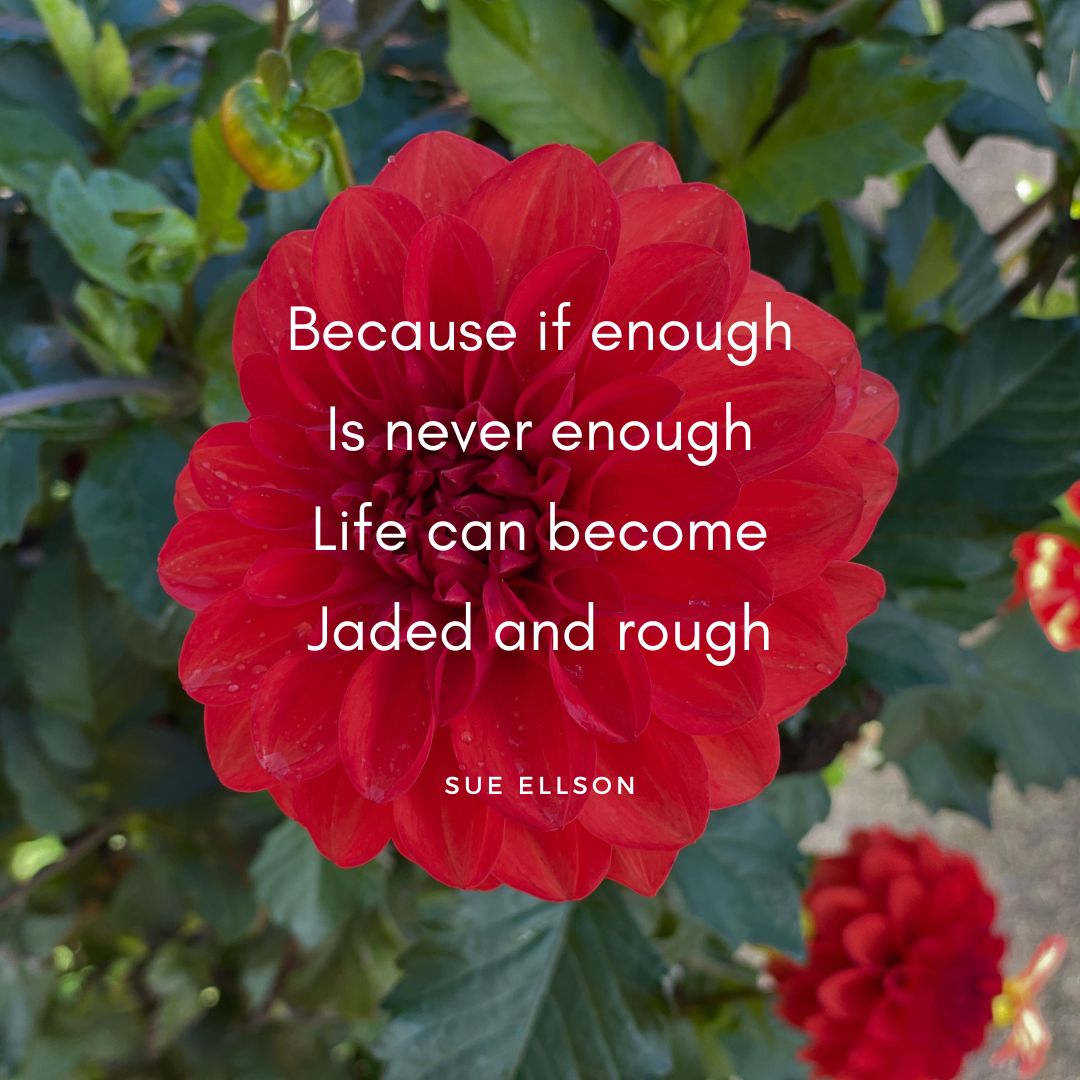 Never Enough Poem By Sue Ellson